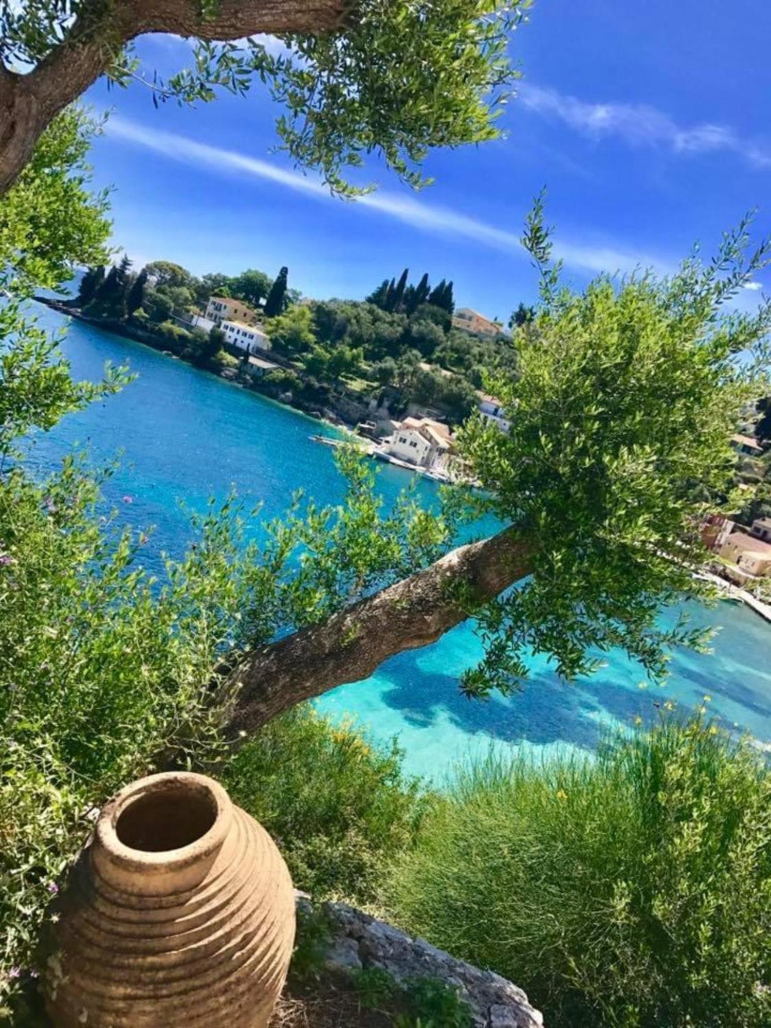 Aronis Spyros Panoramic Seaview Apartments Longós Eksteriør billede